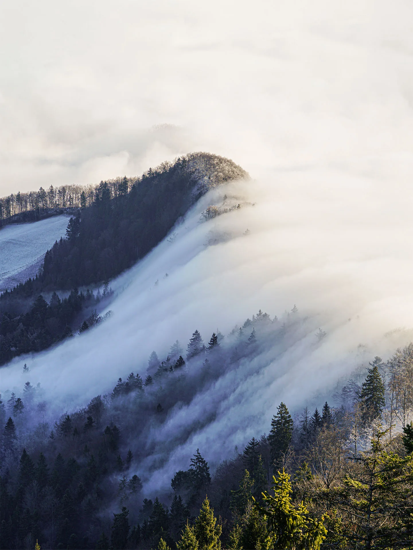 Nebelnder mit Nebelzug über einen Gebirgszug im Jura